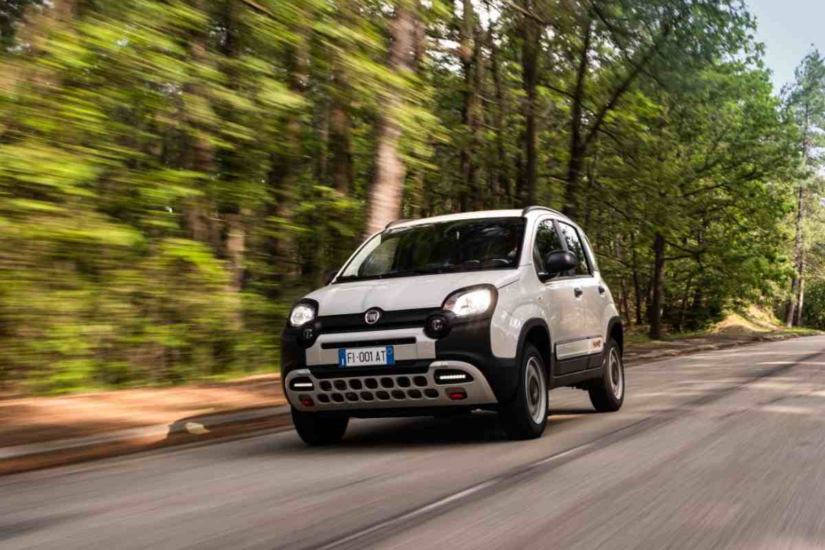 fiat panda usata prezzo