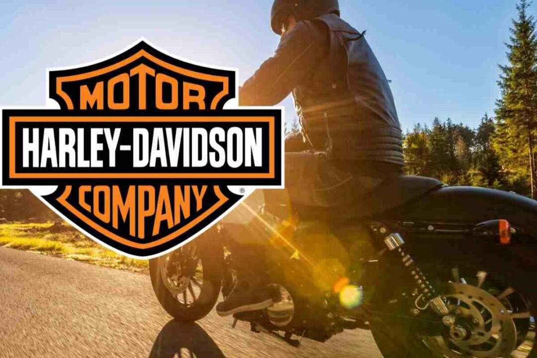 Harley Davidson Sportster 883 occasione moto prezzo usata