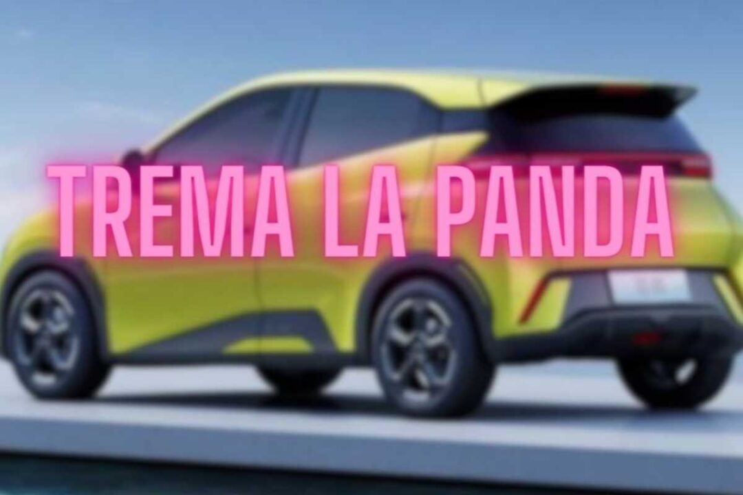 Auto sfida la Panda