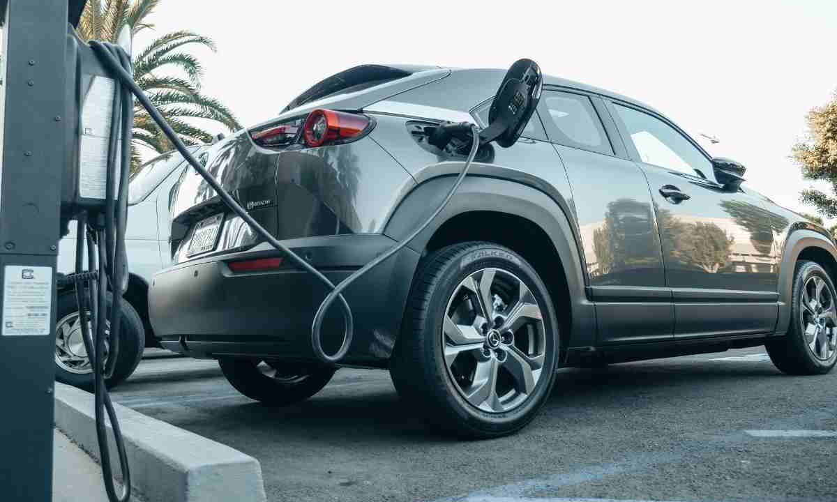 auto elettriche preferite automobilisti