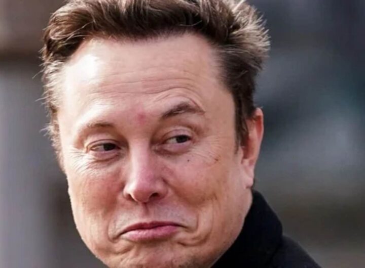 Elon Musk causa